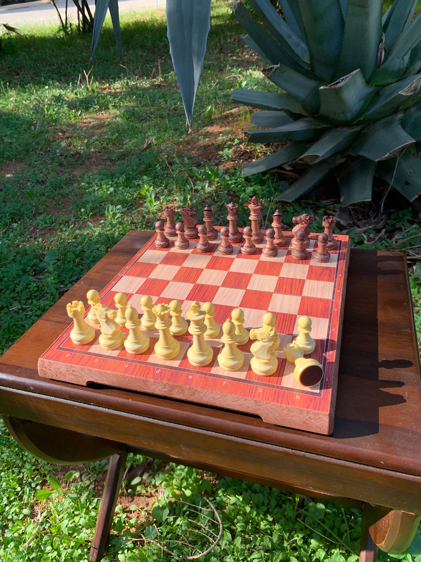 Wooden Colored Magnetic