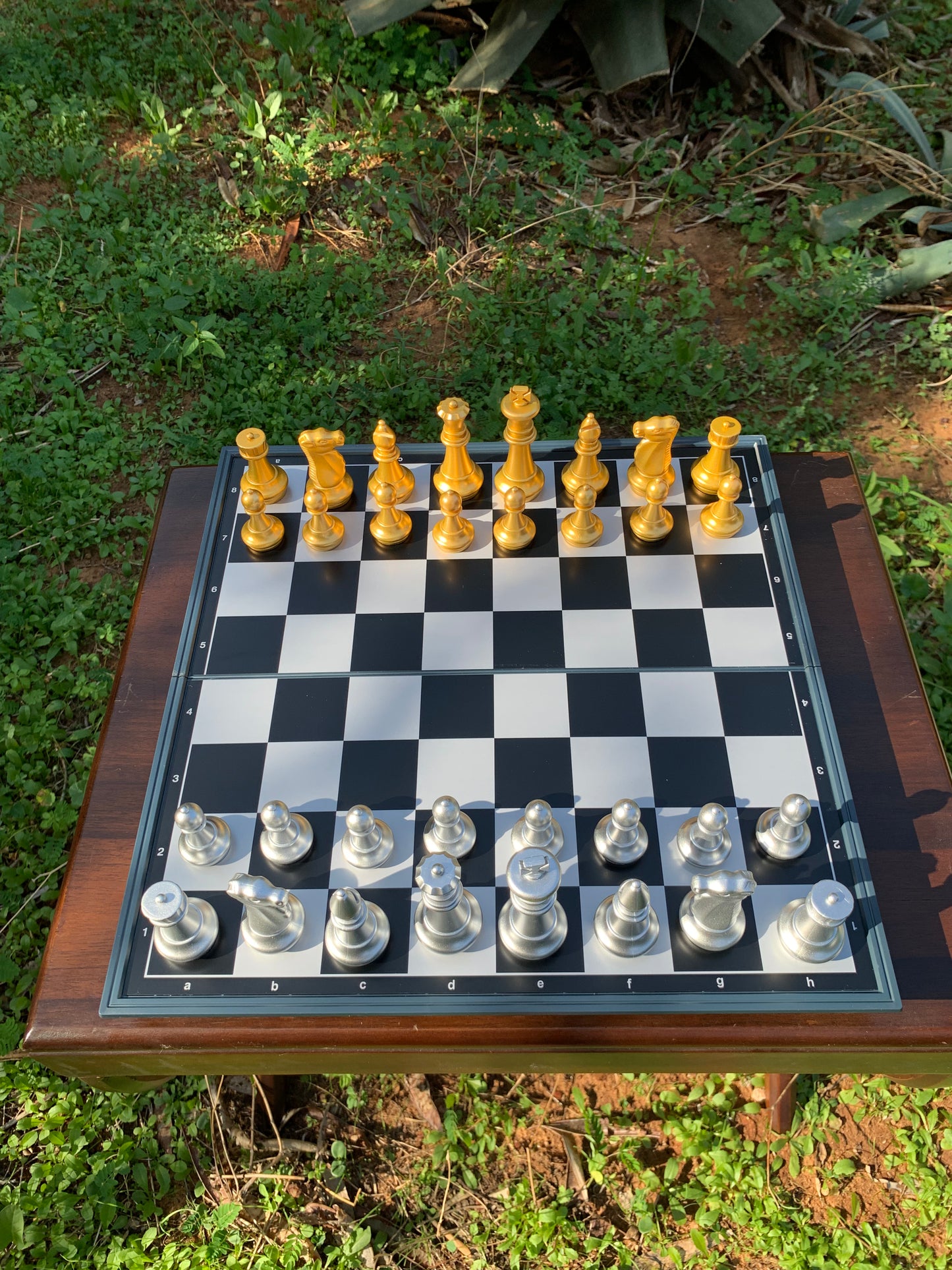 Magnetic chess