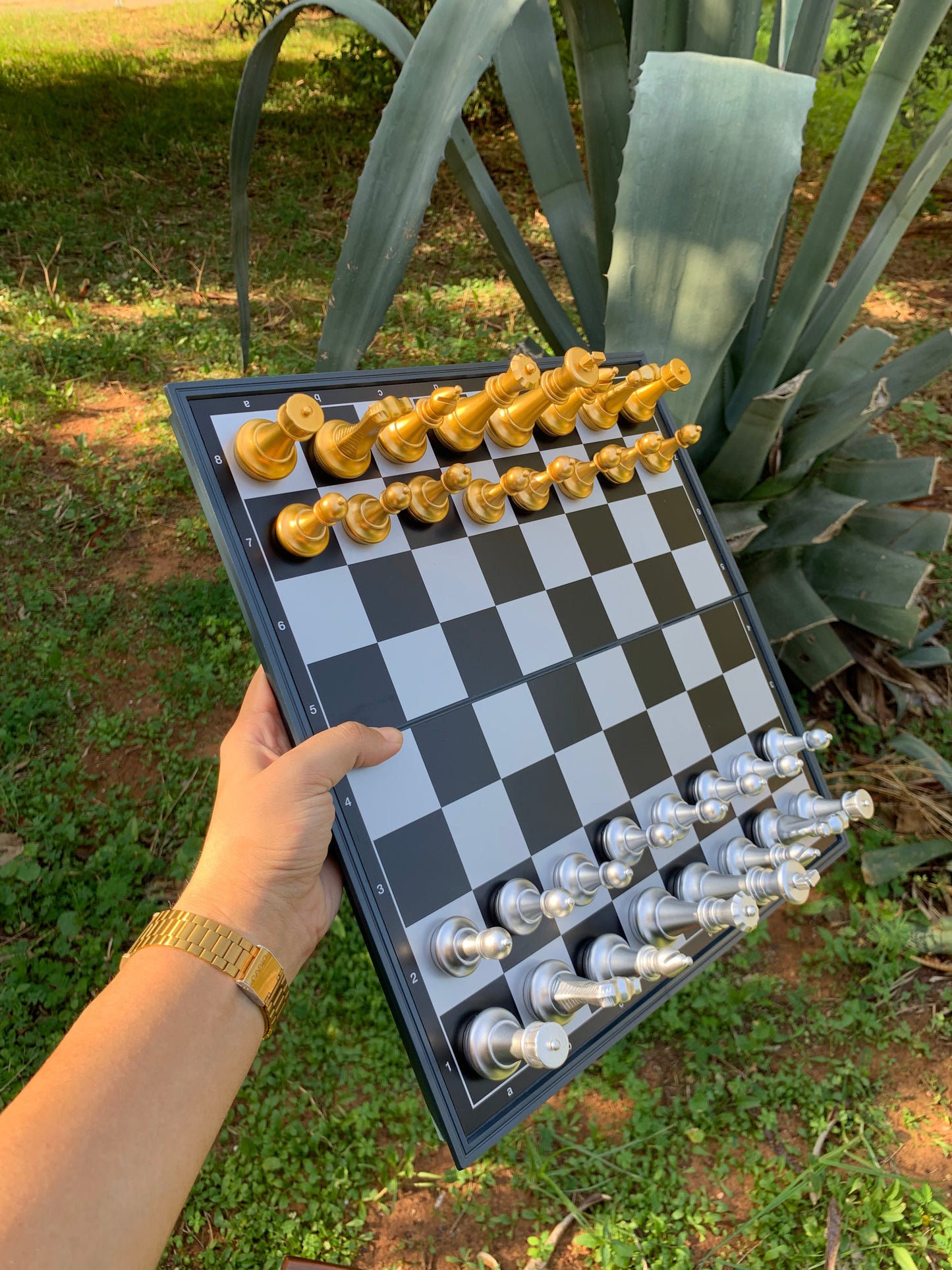 Magnetic chess