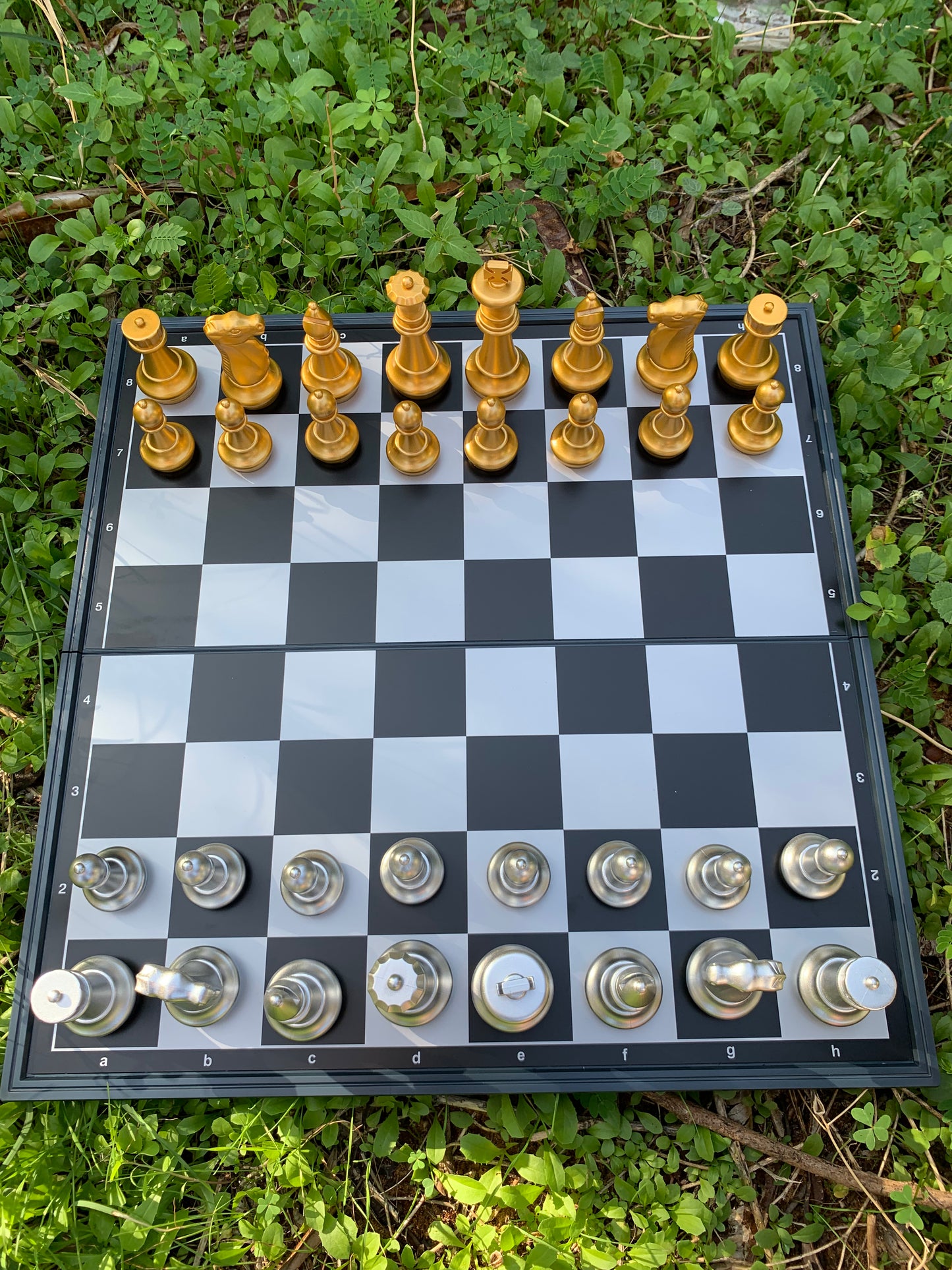 Magnetic chess