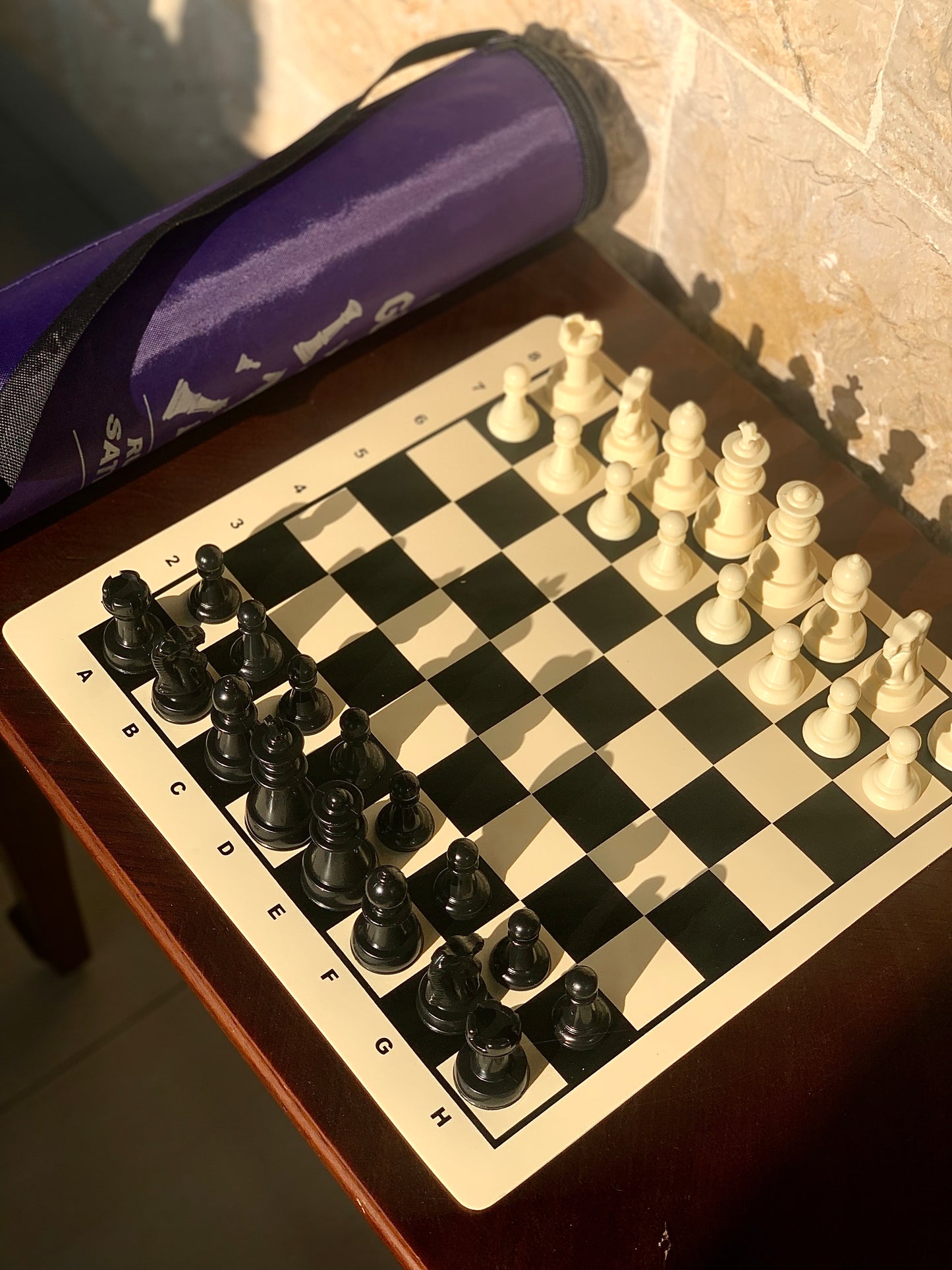 Small Silicone Chess