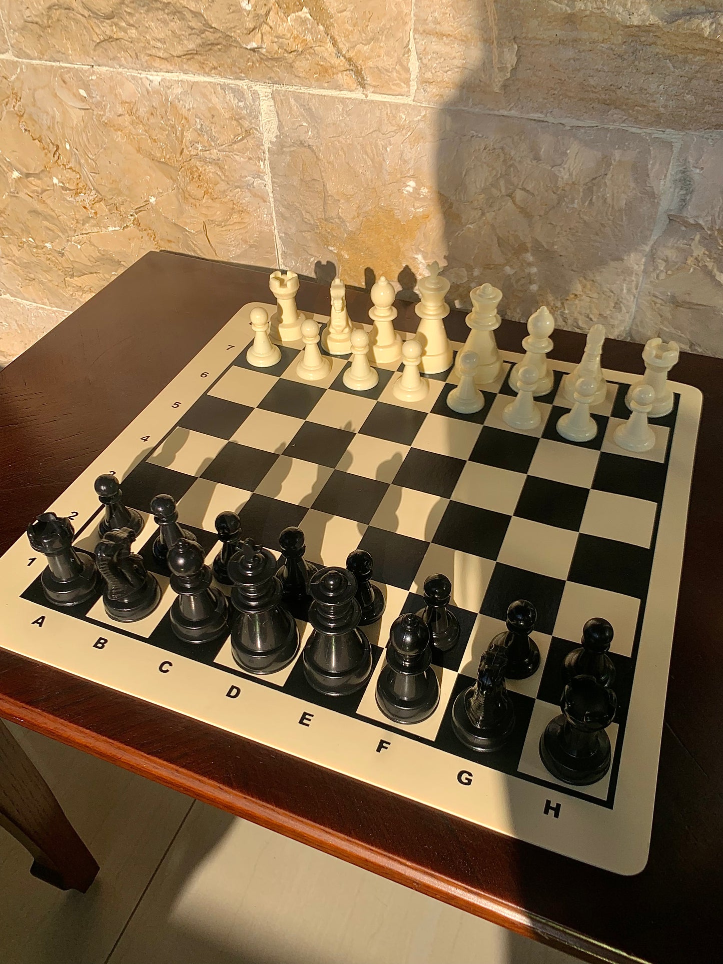 Small Silicone Chess