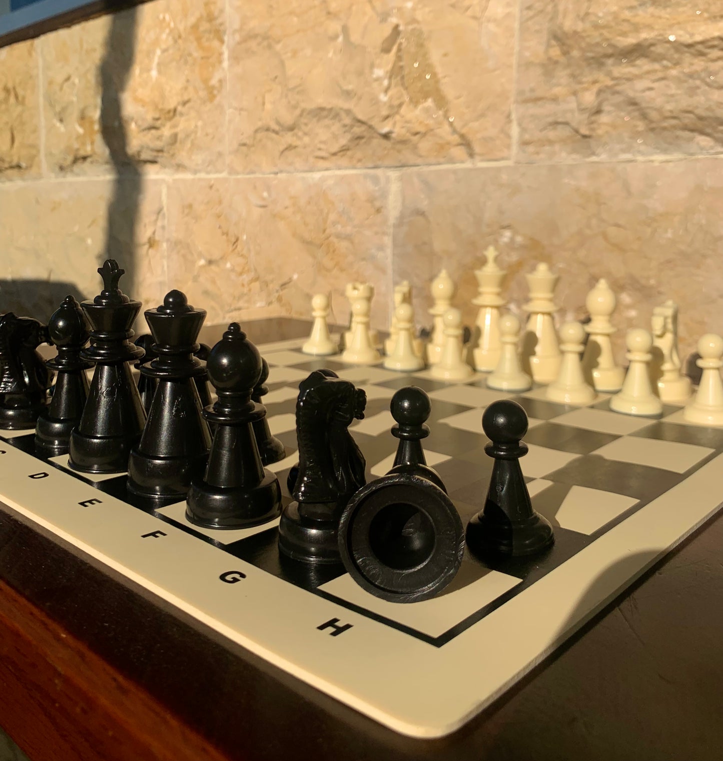 Small Silicone Chess