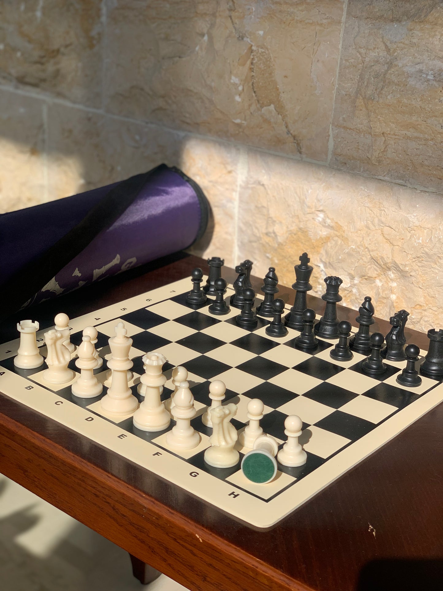 Small Silicone Chess