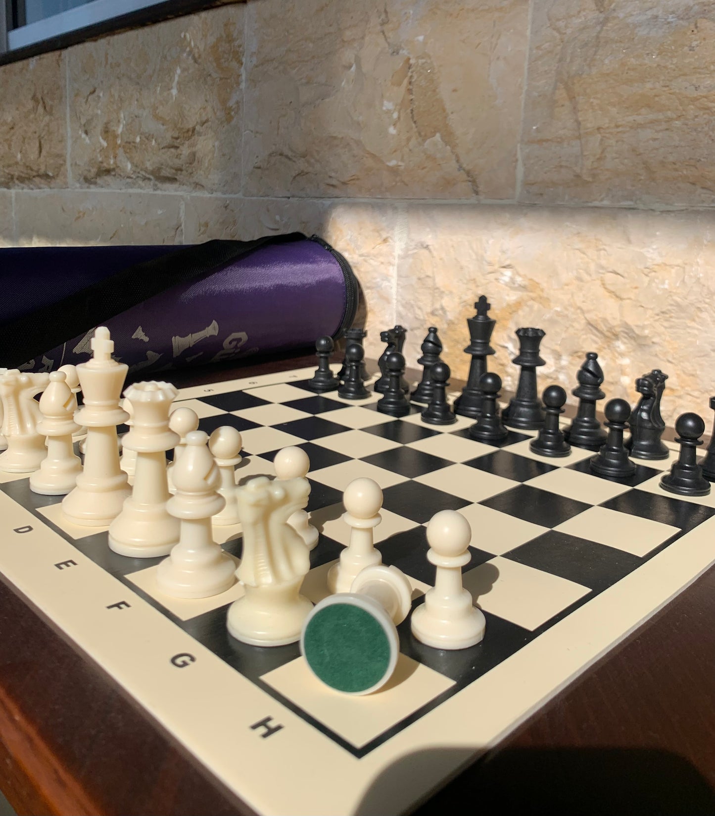 Small Silicone Chess