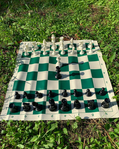 Portable Full Chess Set with Bag