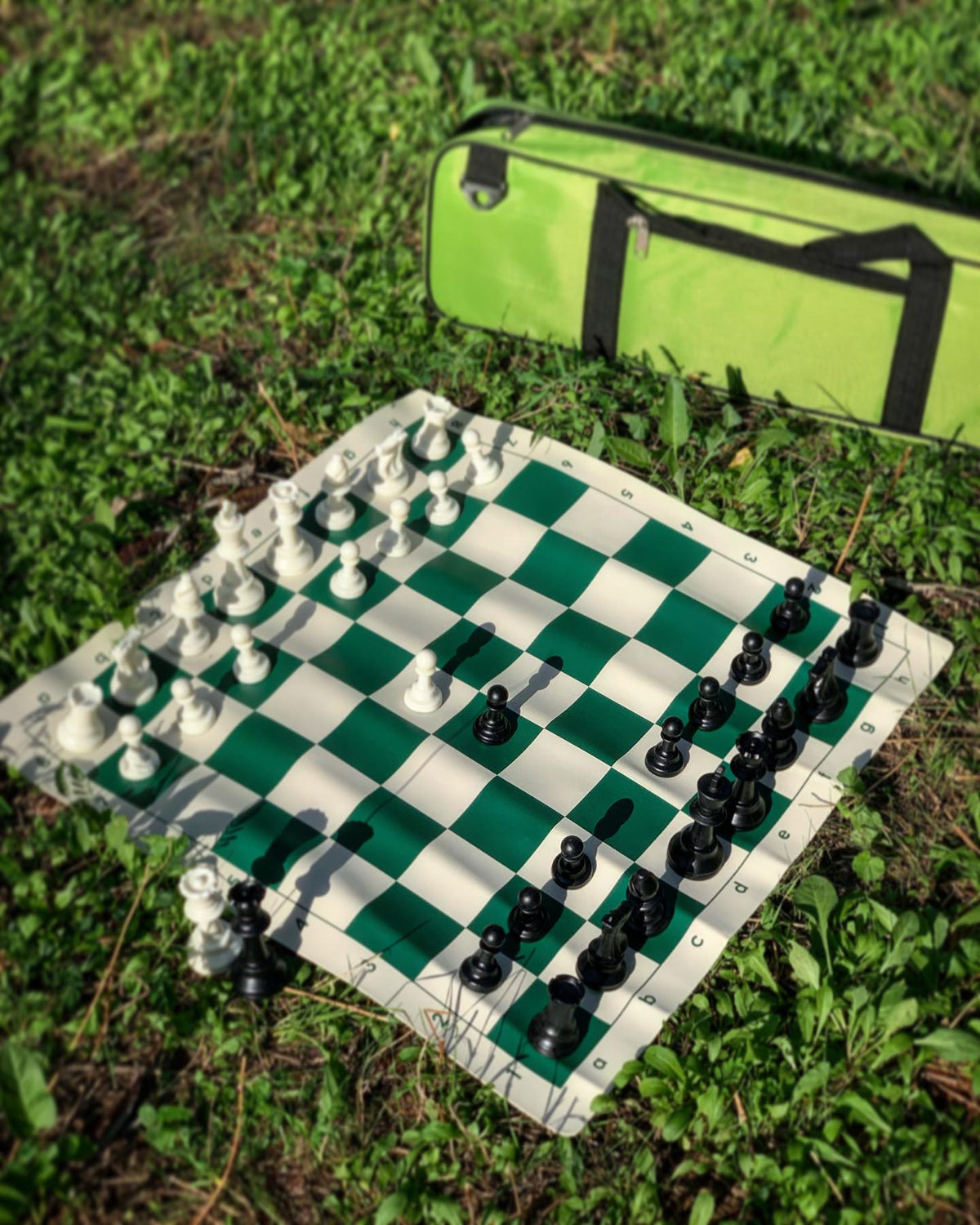 Portable Full Chess Set with Bag