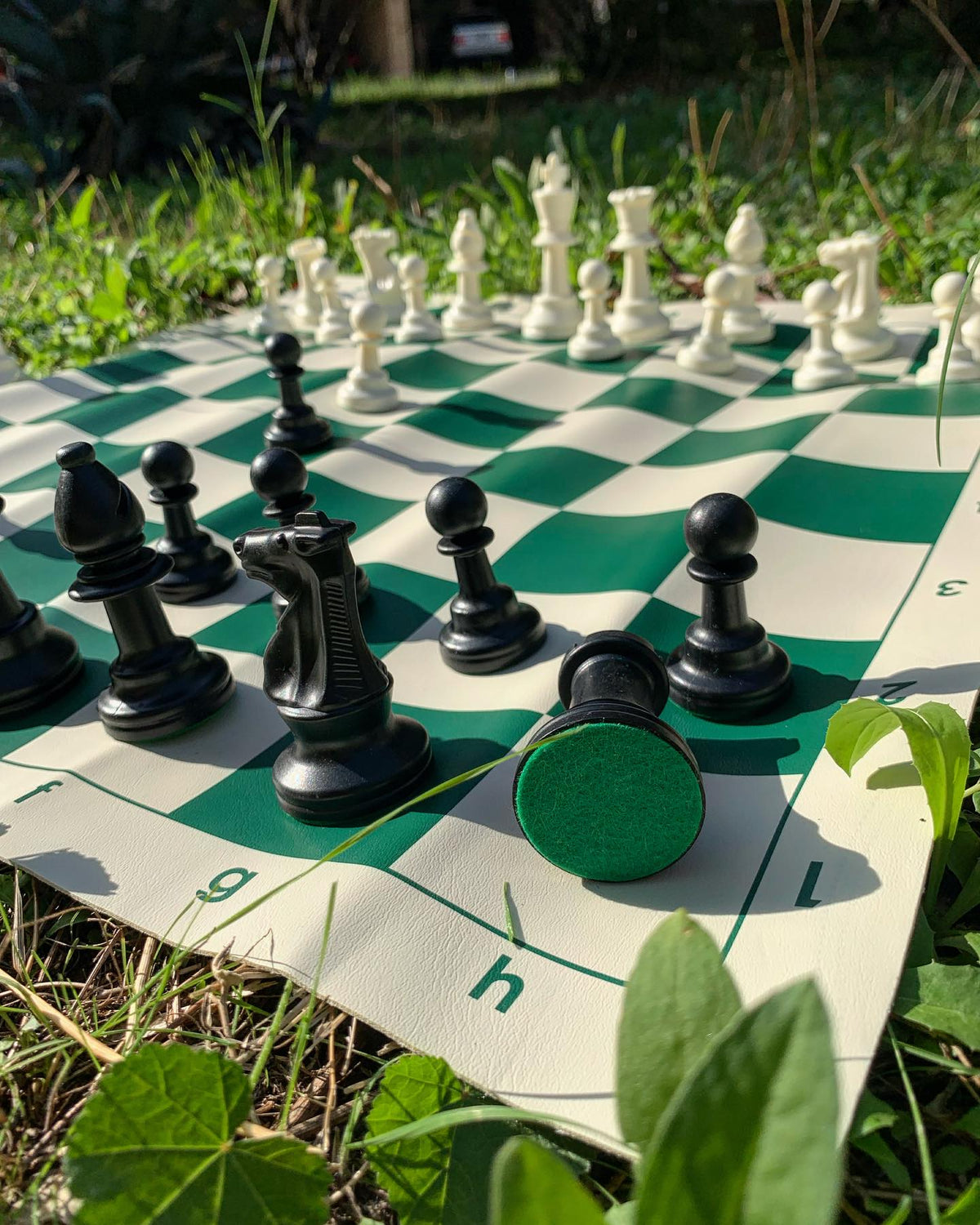 Portable Full Chess Set with Bag