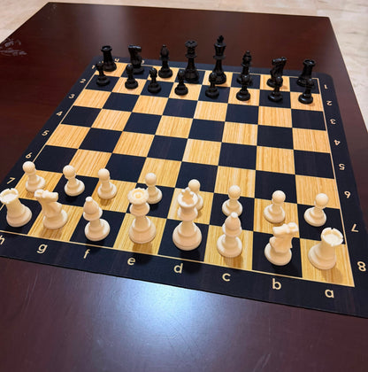 Rubber foldable chess