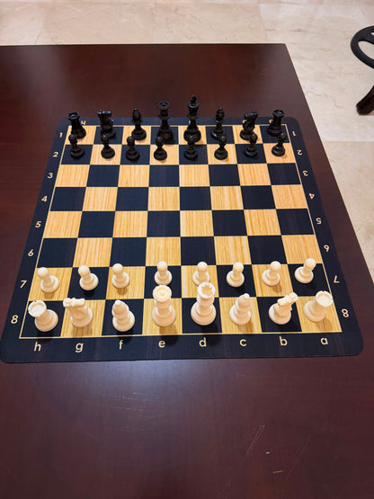 Rubber foldable chess