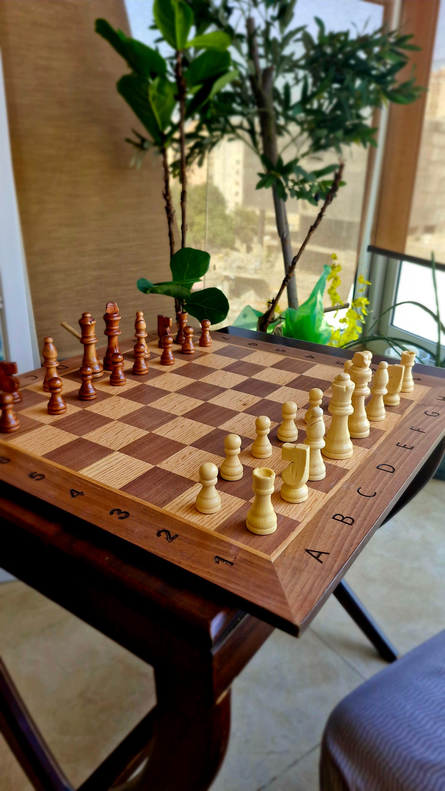 Classic wooden chess(numbers/letters)