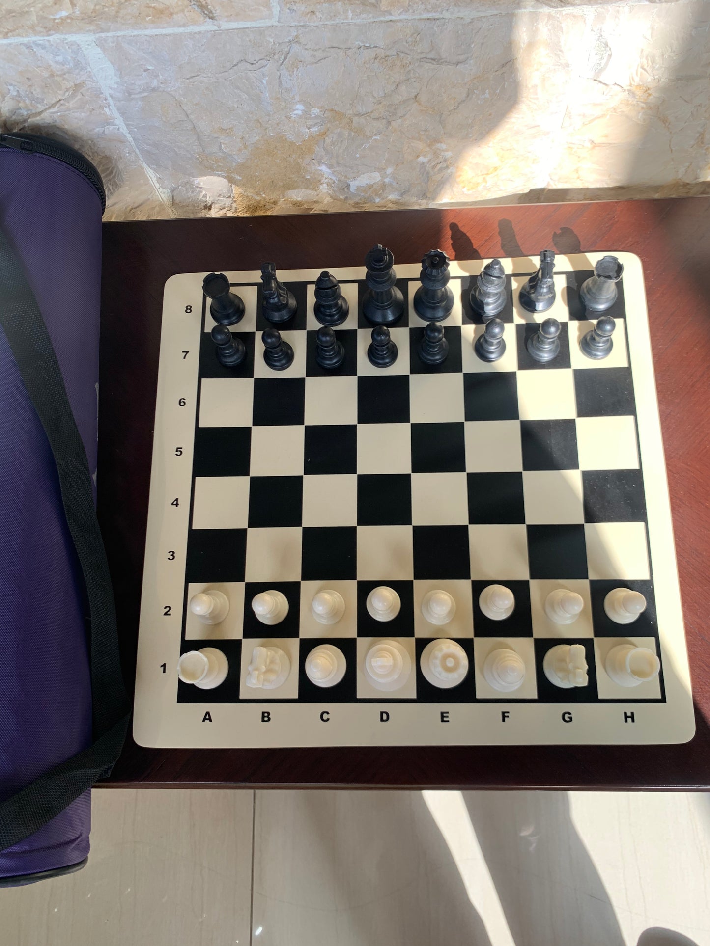 Small Silicone Chess